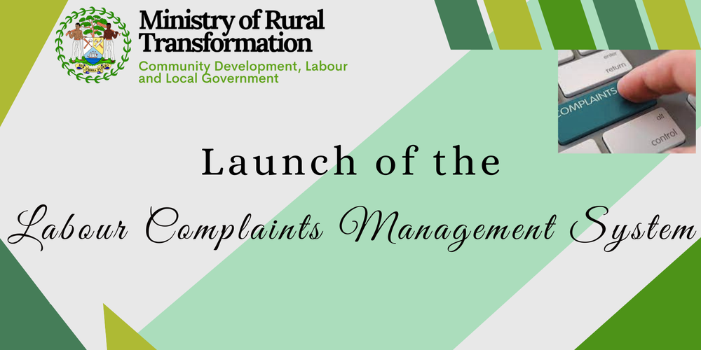 Online Labour Complaints Management System Step to Step Guide
