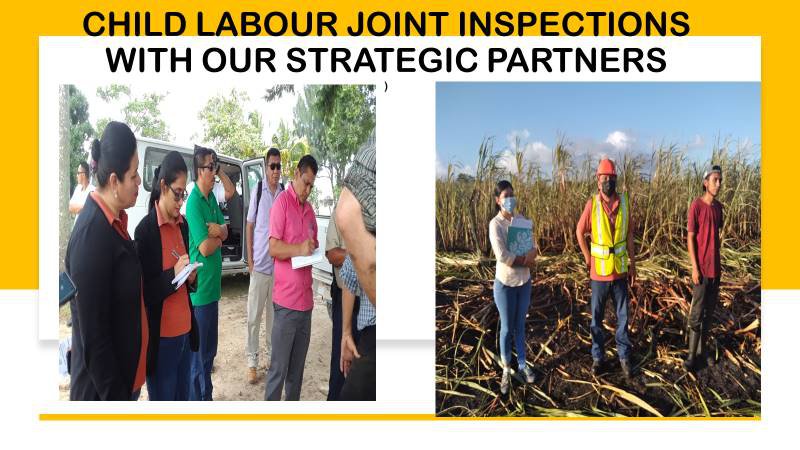 Child labour joint inspection
