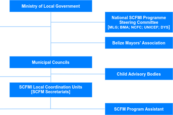 SCFMI Organizational Structure